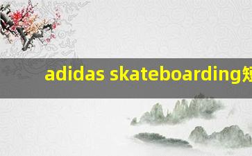 adidas skateboarding短袖